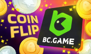 استمتع بتجارب BC FUN المميزة