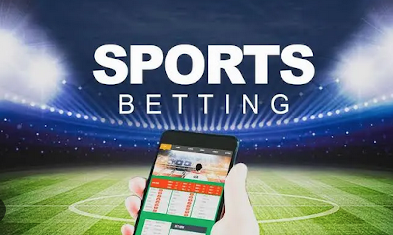 Betwinner Botswana Your Ultimate Betting Experience -430658858